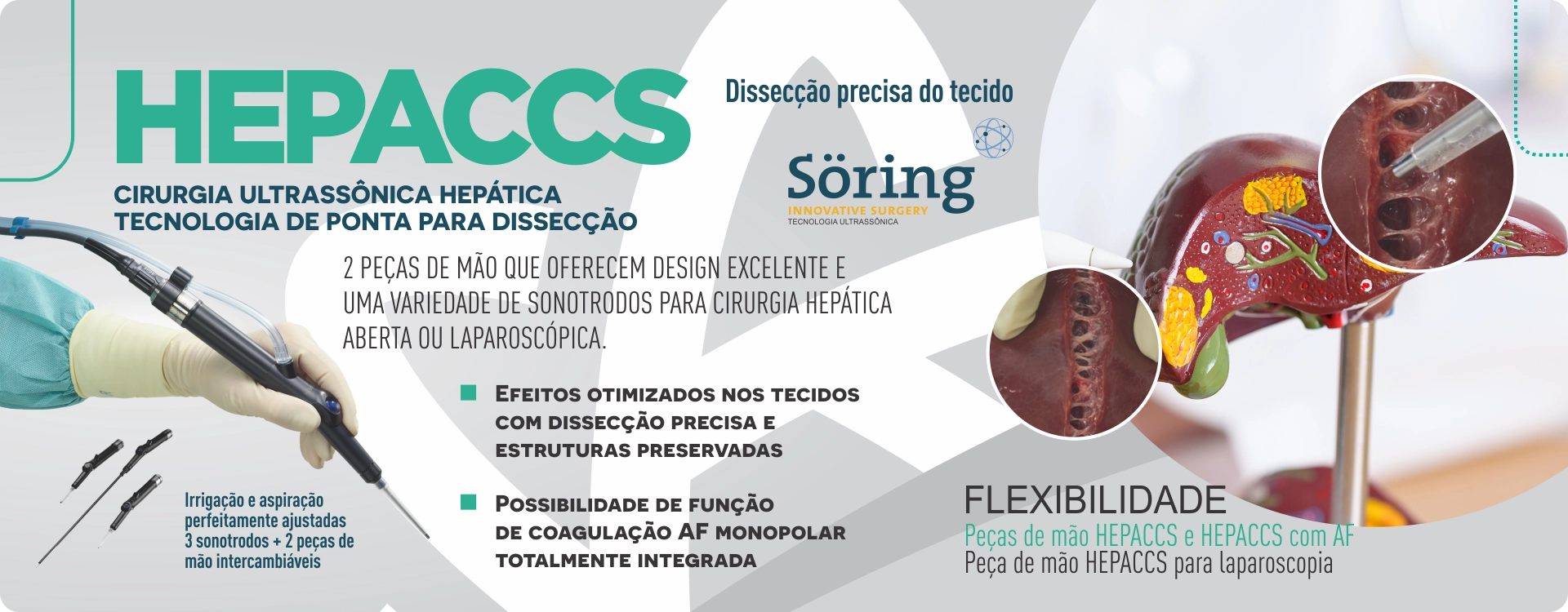 Banner_hepacs